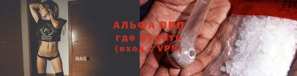 амф Гатчина