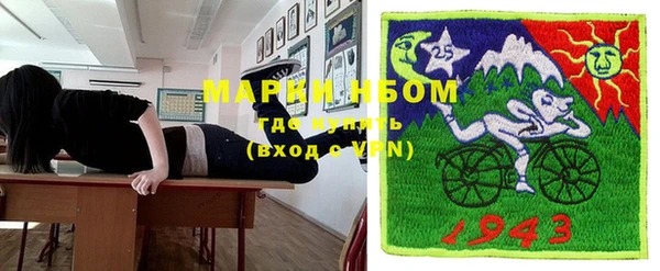 ешки Аркадак