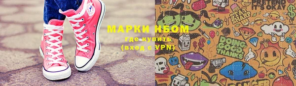 ешки Аркадак